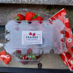 Tir aux fraises à Haramont